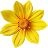 Decorative Flower